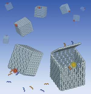 Des nanoboîtes de trente nanomètres de côté pourraient conserver des médicaments et les lâcher dans le corps dès que le besoin s'en ferait sentir. © Ebbe S. Andersen, Aarhus University
