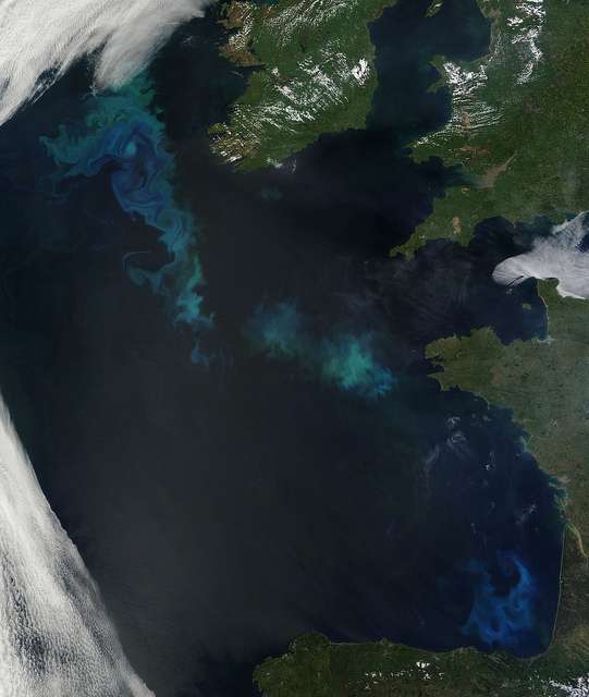 L'océan Atlantique assure-t-il encore son rôle de puits de carbone ? © Nasa, Flickr, CC BY 2.0