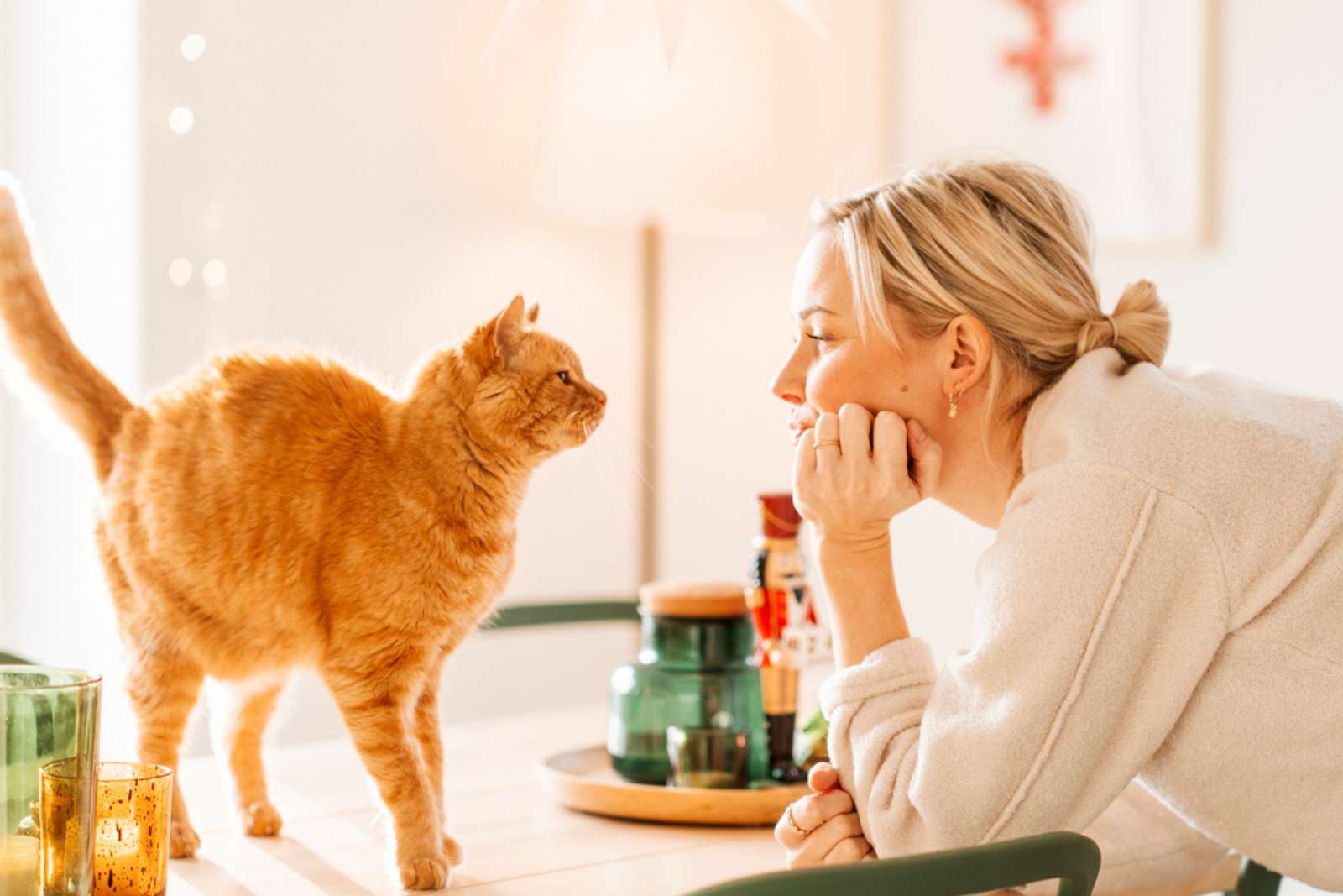 Votre chat vous écoute… mais seulement si vous utilisez CE ton de voix
