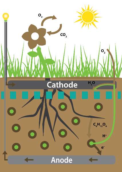 Les sucres (C6H12O6) produits par la photosynthèse sont dégradés par les micro-organismes présents dans le sol, qui produisent du CO2, des protons (H+) et des électrons (e-) captés par l'anode, générant ainsi un courant électrique. © ESA