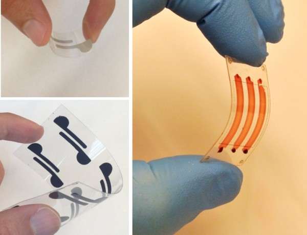 Les matériaux fins, légers et flexibles développés utilisent du papier de cellulose et des films de polyester comme nouveaux outils de diagnostic pour détecter des agents biologiques dans le sang. © Florida Atlantic University