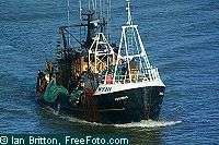CIEM : réduction des quotas de pêche nécessaire pour préserver les espèces CIEM : réduction des quotas de pêche nécessaire pour préserver les espèces
