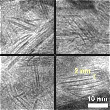 Les nanofeuillets vus au microscope électronique. © Brookhaven National Laboratory