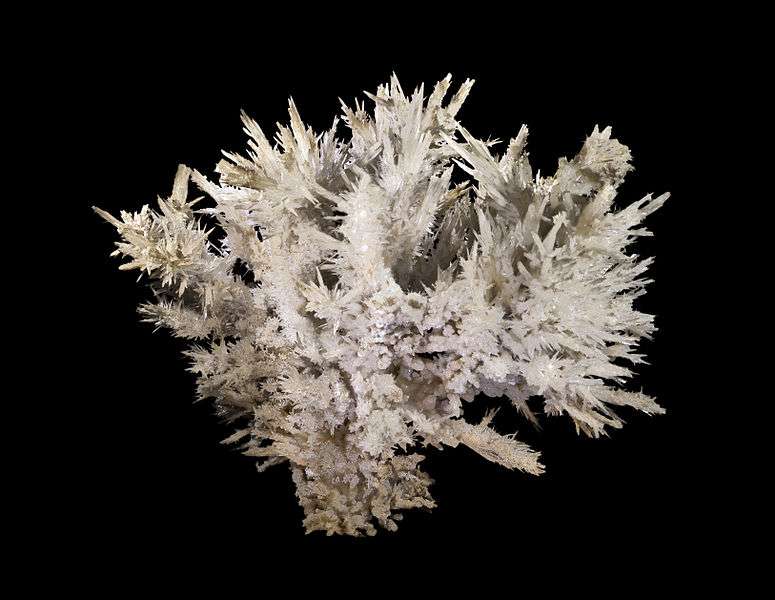 Aragonite coralloïde. © Didier Descouens, by sa 3.0