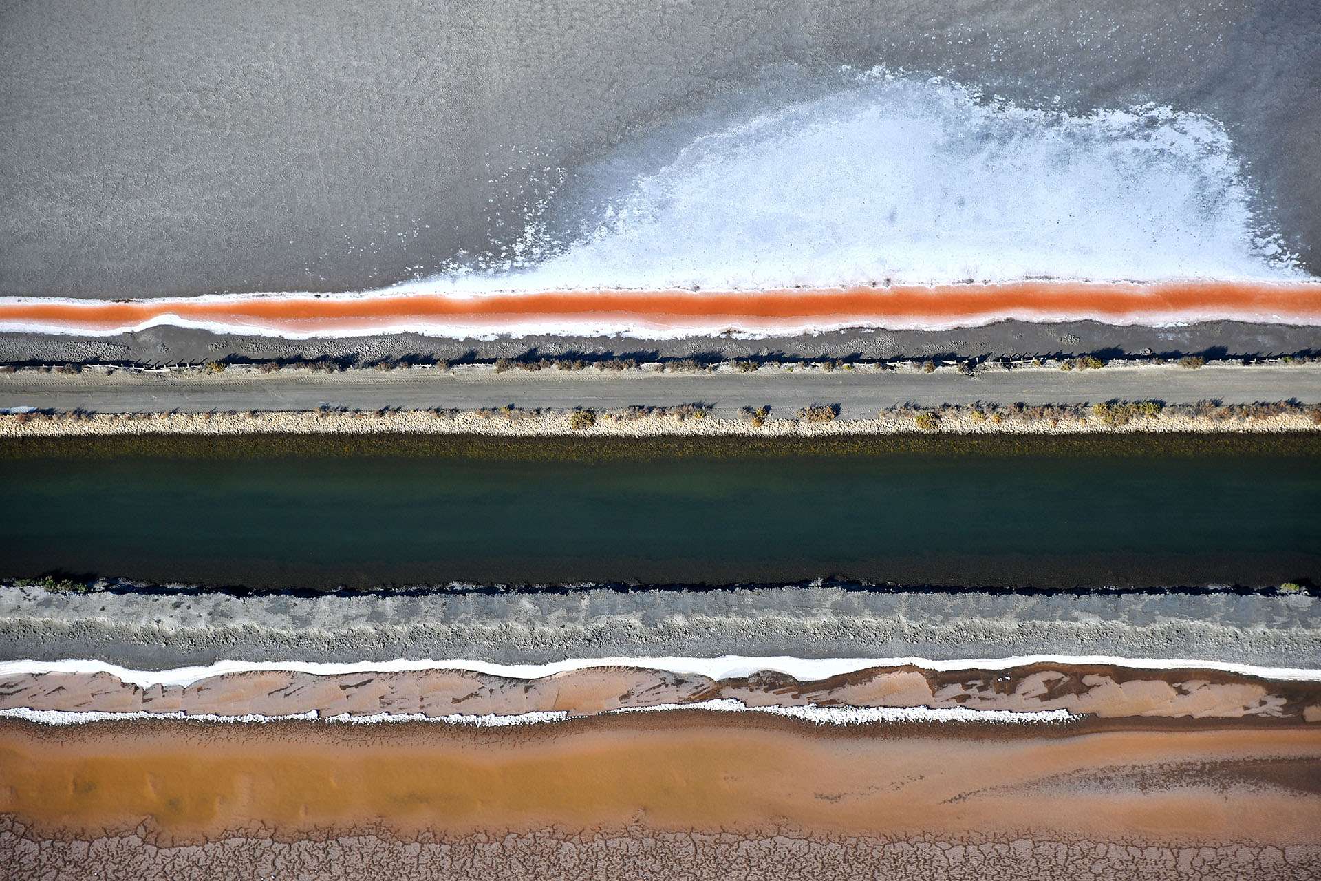 Paintinglike Photos Futura