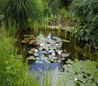 Dossier : le bassin de jardin, oasis de fraîcheur Les clés pour construire un bassin de jardin. © bassins-de-jardins-wifeo.com