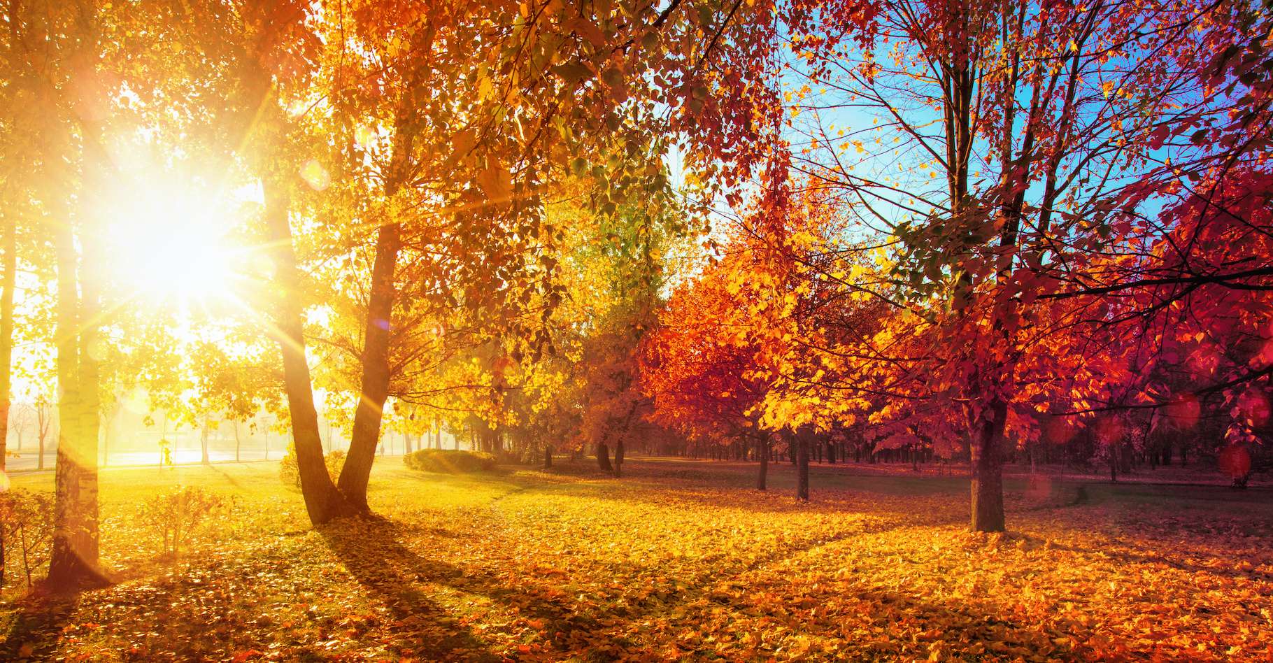 Breve Pourquoi L Equinoxe D Automne Est Tombe Le 22 Septembre Cette Annee