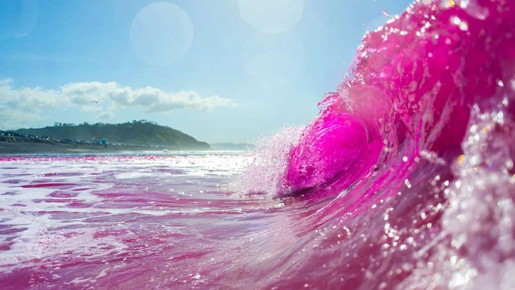 L'eau de l'océan est devenue rose fluo à San Diego pour une expérience scientifique