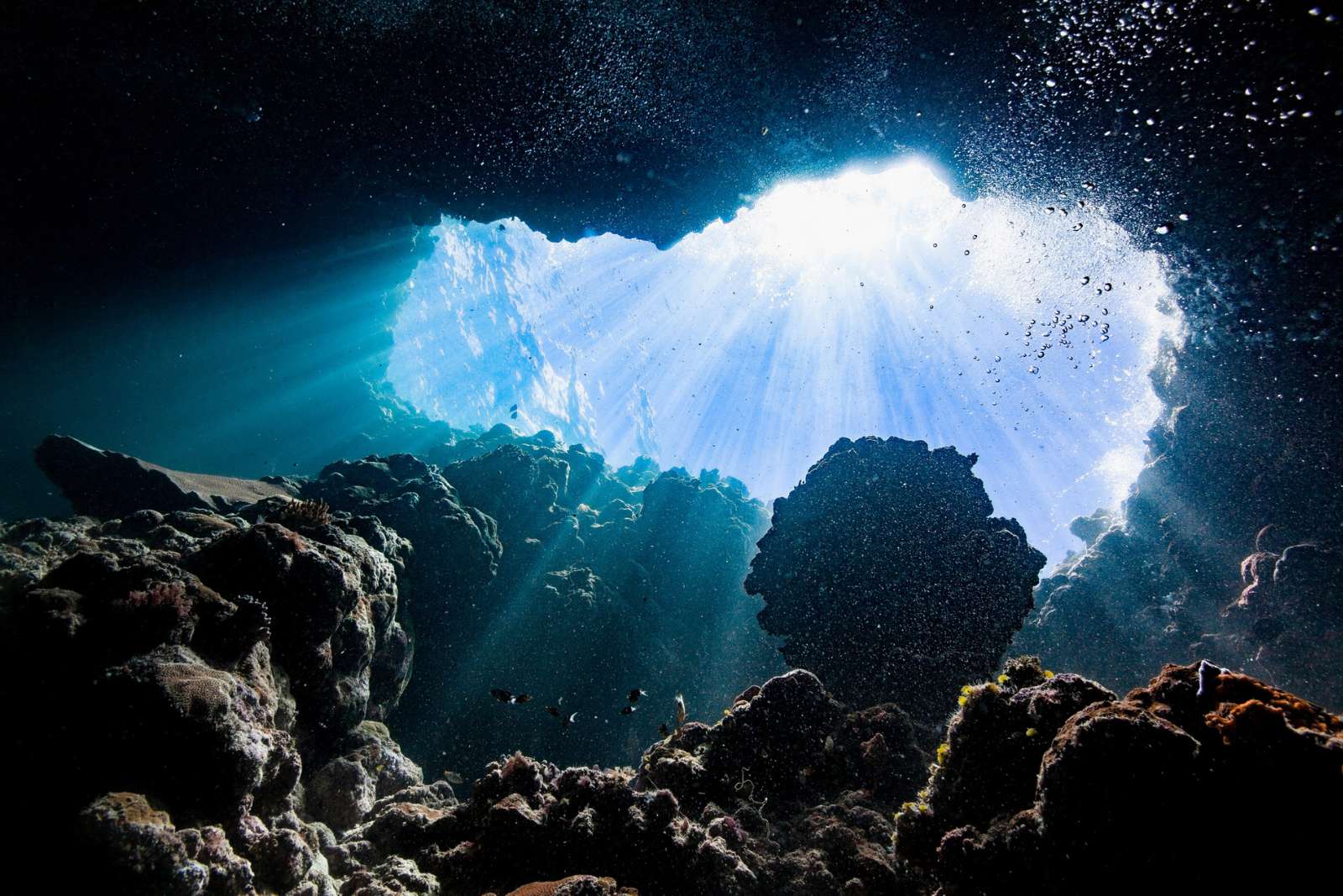 815621173e_50233901_requins-fossiles-grotte-terrestre.jpg