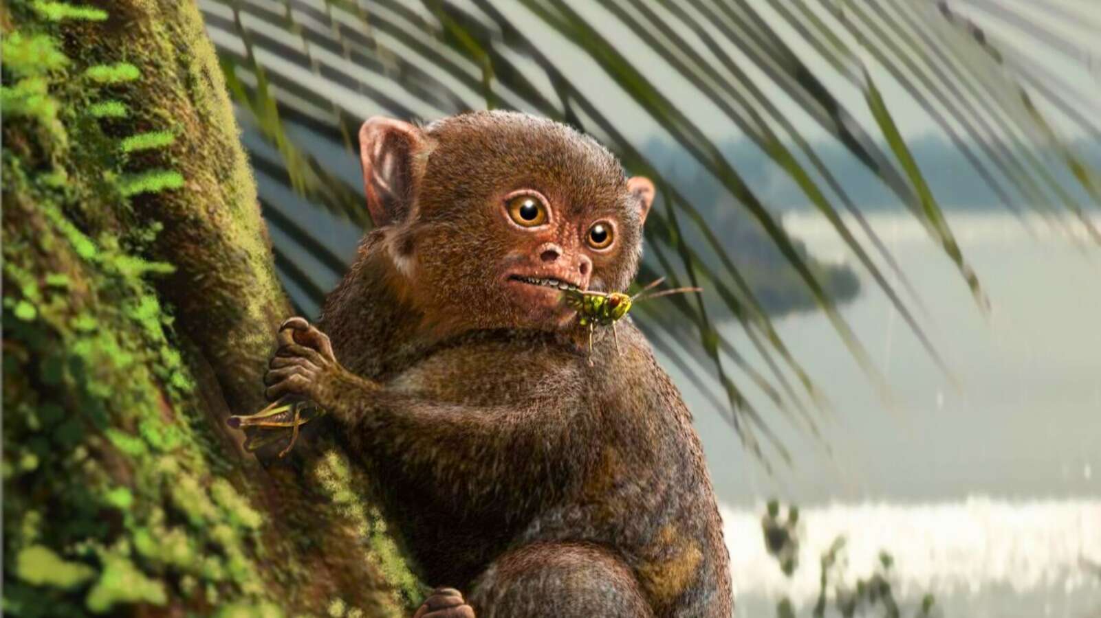 Did these prehistoric monkeys really cross the ocean on a giant raft?