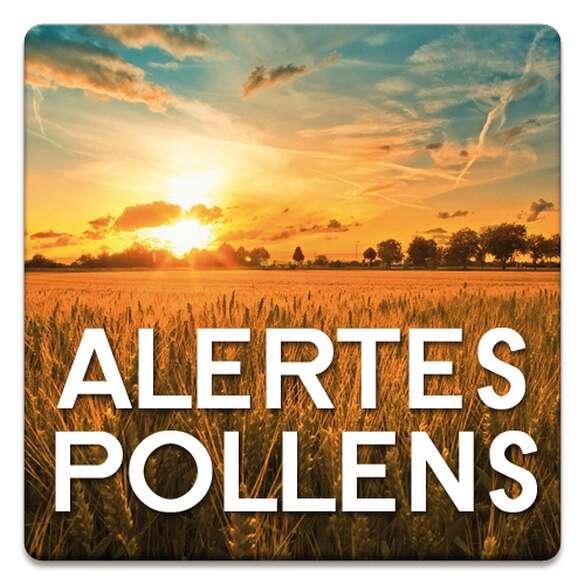 Alertes allergies