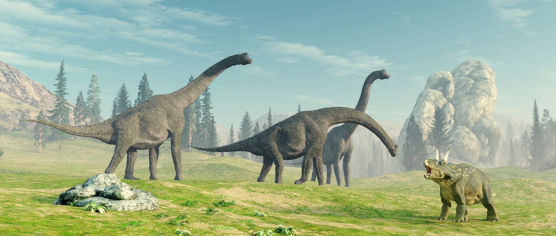 Définition | Brachiosaure