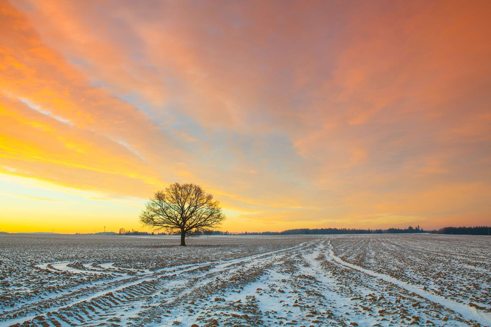Comment expliquer une si longue sécheresse en hiver ? Comment expliquer une si longue sécheresse en hiver ?