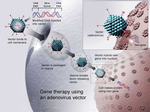 Virus et Cancer