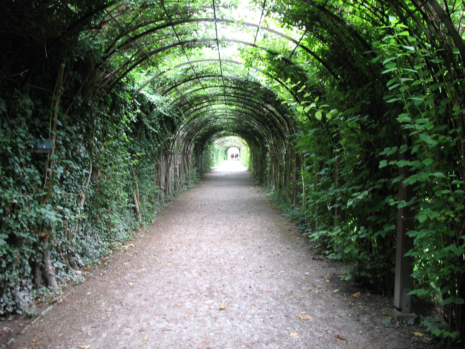 Définition | Pergola