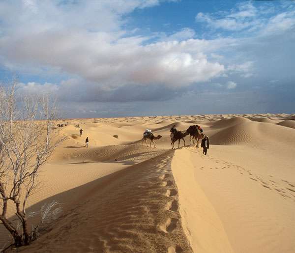 Sous le désert du Sahara gisent de gigantesques nappes d’eau. Les prélèvements anthropiques et naturels représentent plus du double des apports. © V. Simonneaux, IRD