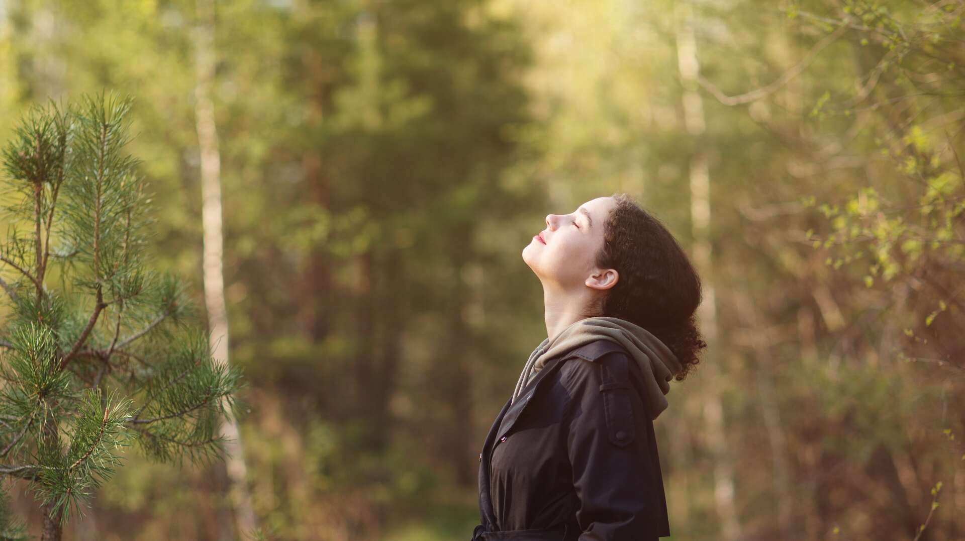 Cerveau Et Nature Notre Cerveau Ressemble Une For T