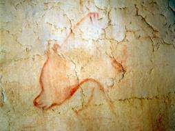 Dans la grotte Chauvet-Pont d'Arc, les hommes, il y a 30.000 ans, ont dessiné l'ours des cavernes, un autre habitant des lieux... © Ministère de la Culture et de la Communication, DRAC Rhône-Alpes, SRA