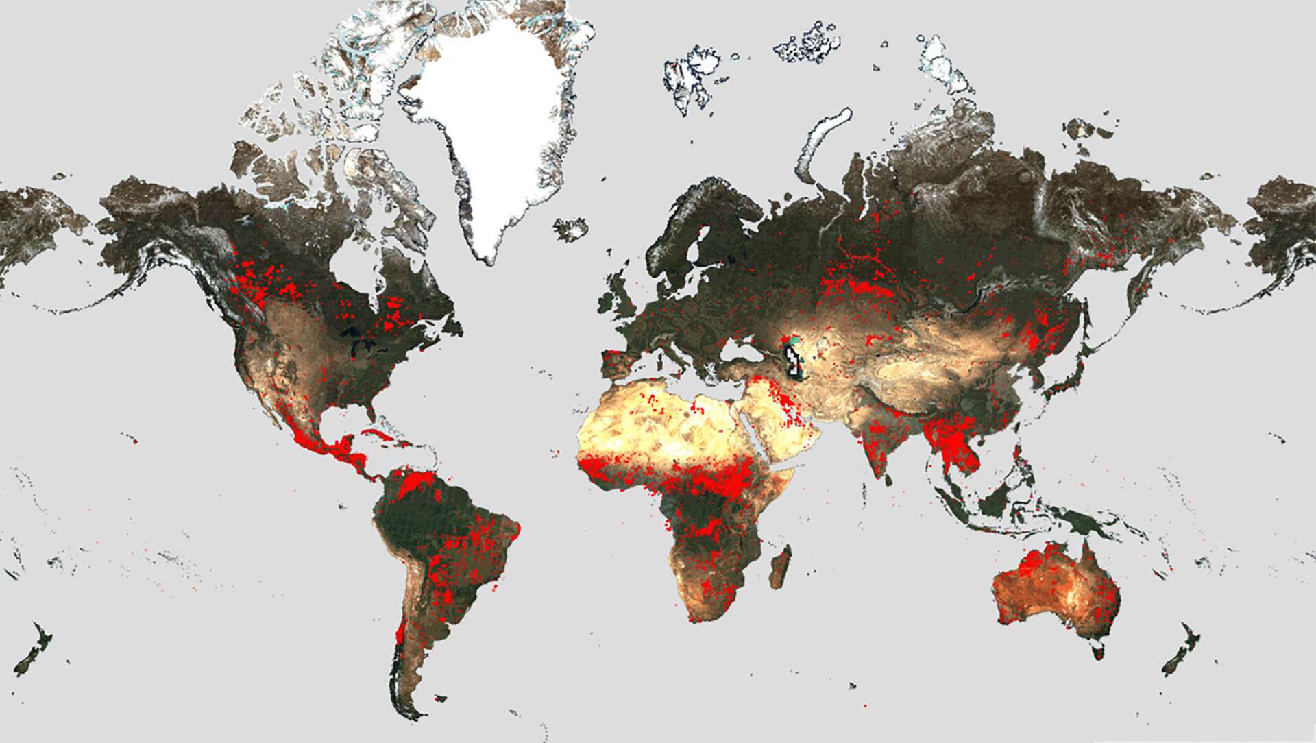 L'Atlas des feux de l'ESA un outil puissant pour anticiper les
