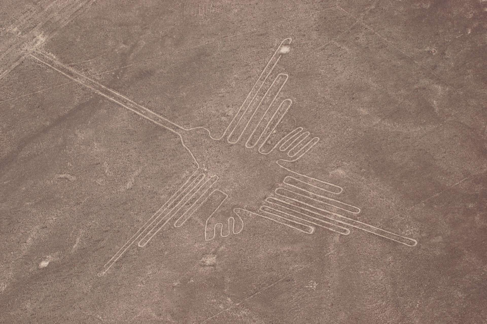 砂漠に数百の未知の地上絵が再び現れる
