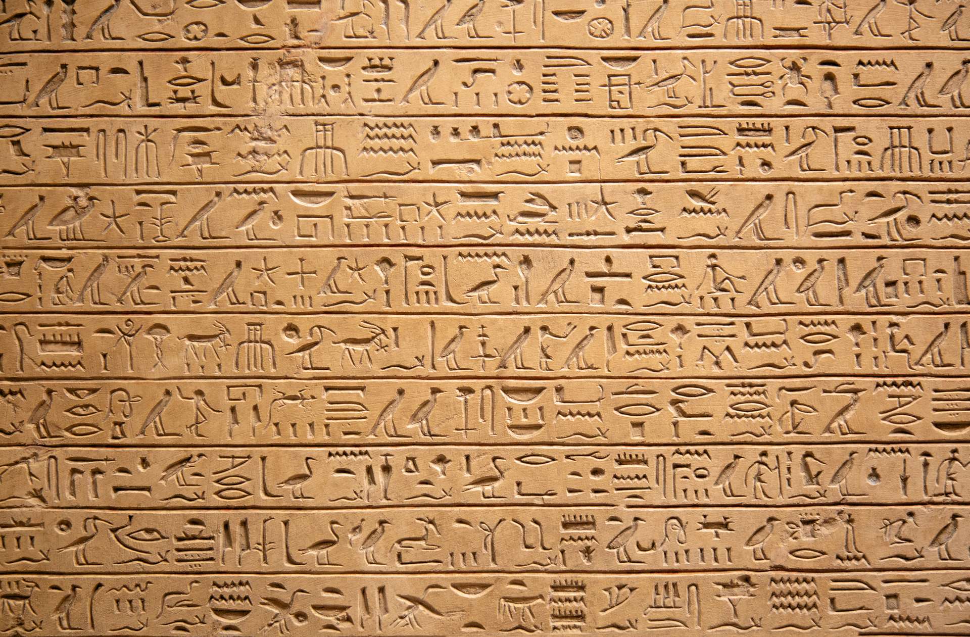 L’étrange cas des mains coupées et enterrées en Égypte ancienne L’étrange cas des mains coupées et enterrées en Égypte ancienne