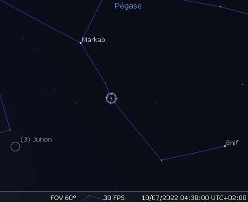 Maximum of the Pegasid meteor shower