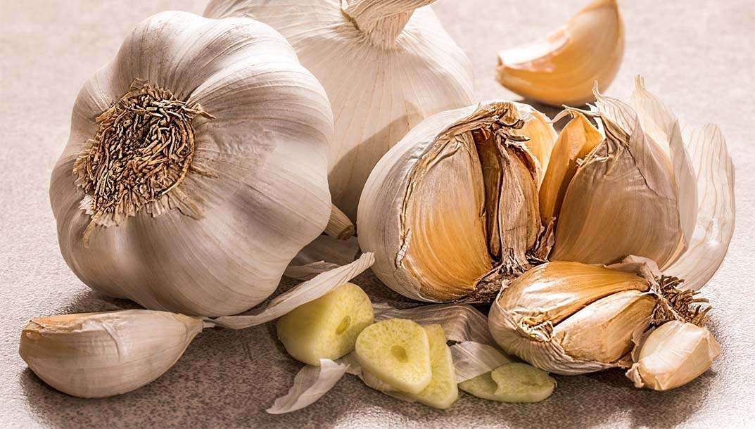 Quels sont les bienfaits de l'ail ?