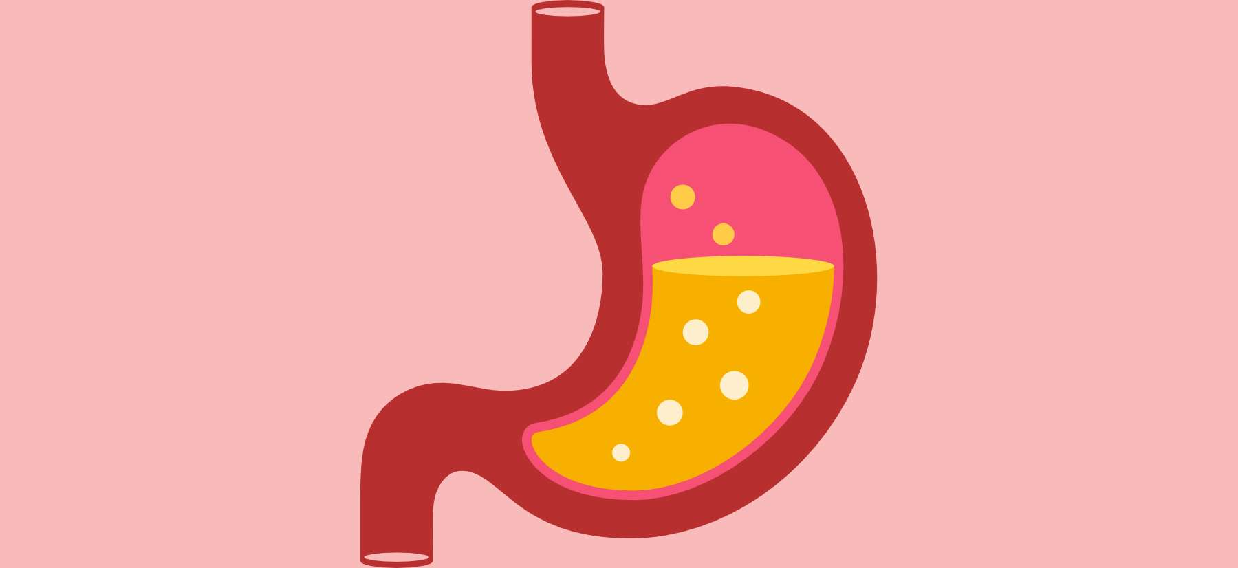 Quel Ion Est Responsable De L acidité Du Suc Gastrique Définition | Suc gastrique | Futura Santé