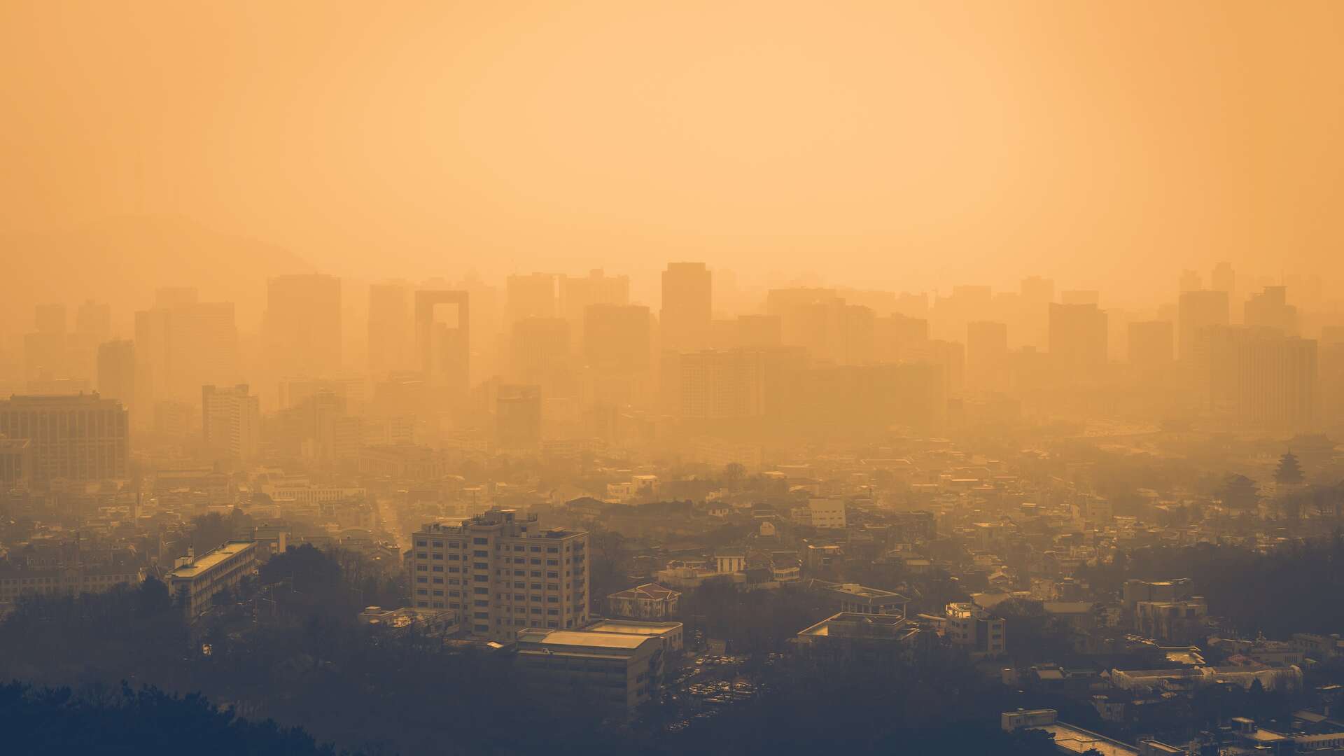 Avis De Forte Pollution Aux Particules Fines En France Toute La Semaine