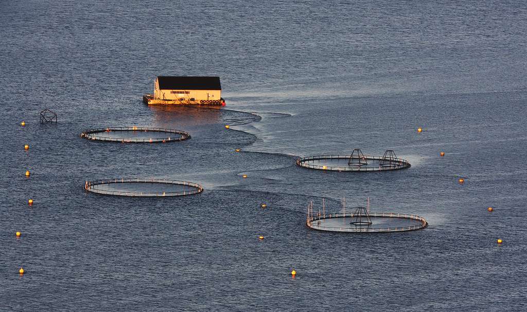 Définition Aquaculture