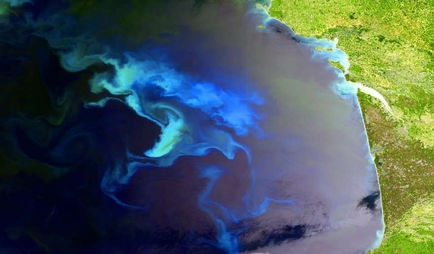 Definition Bloom Phytoplanctonique Efflorescence