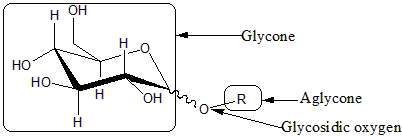 Oside Structure d’un oside formé par la condensation d’un ose (glycone en anglais) et d’un alcool (R). Les deux molécules sont reliées par une liaison osidique (glycosidic oxygen) © Dineshts, Wikimedia domaine public