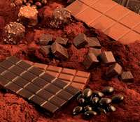 Dossier : le chocolat, du cacaoyer à la tablette Du cacao au chocolat, un dossier pour les gourmands. © DR
