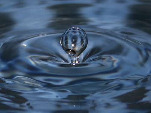 L'eau, sous sa forme essentielle à la vie : liquide. © SnapR CC by