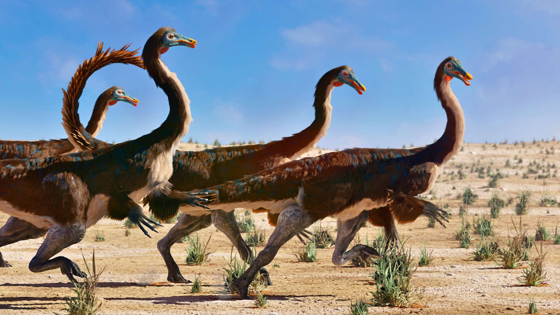 Los huesos de estos dinosaurios difieren entre machos y hembras