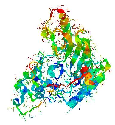 La créatine kinase est une enzyme du muscle qui favorise la formation d’ATP à partir de phosphocréatine (ou créatine phosphate). © Jfdwolff, PDB, Wikimedia Commons, CC by-sa 3.0