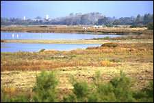 Rendons aux marais ce qui appartient aux marais Vue de la lagune de la réserve du marais d'Yves (Charente-Maritime)Photo : R.N. des marais d'Yves
