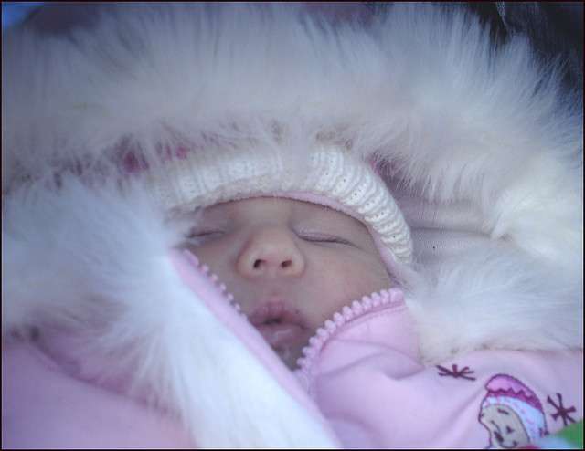 Existe T Il Une Saison Pour Faire Des Bebes Existe T Il Une Saison Pour Faire Des Bebes
