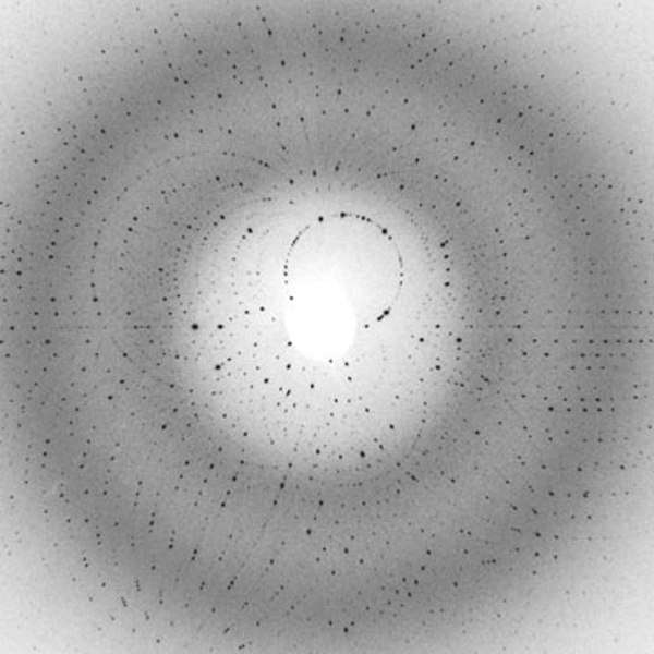 Une des figures de diffraction obtenues avec des impulsions de rayons X durant 80 microsecondes. Crédit : Gergely Katona / Science