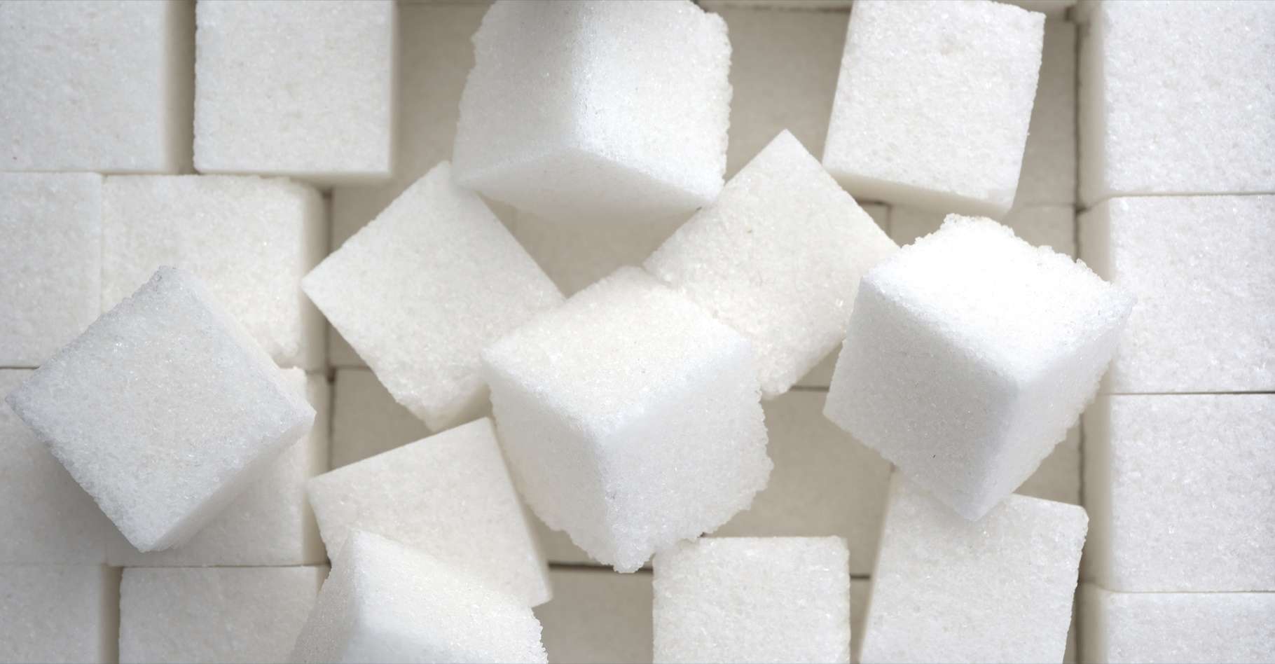 Définition Saccharose