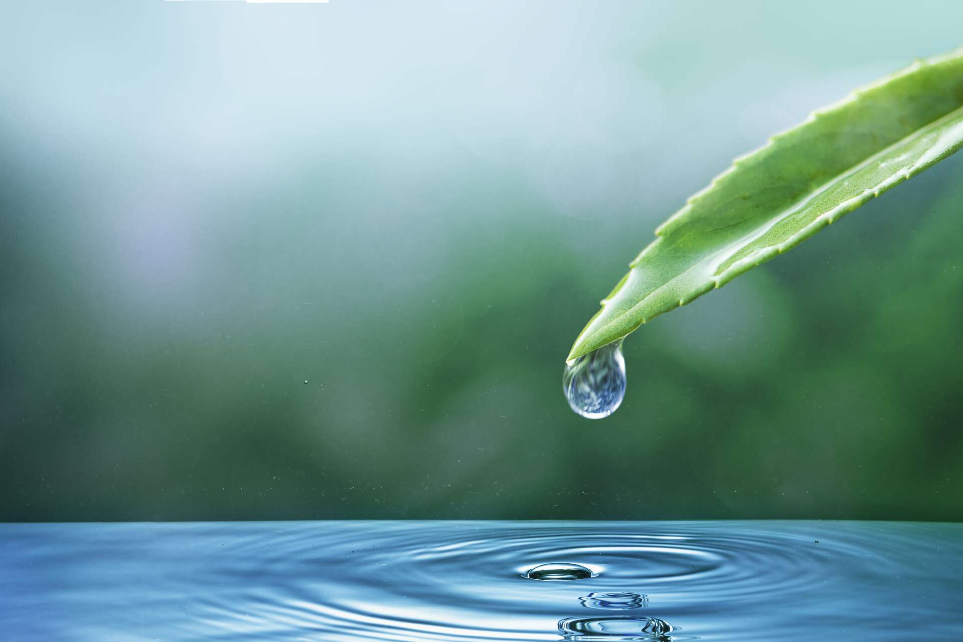 Hydraloop : vers une révolution française du recyclage des eaux usées ?