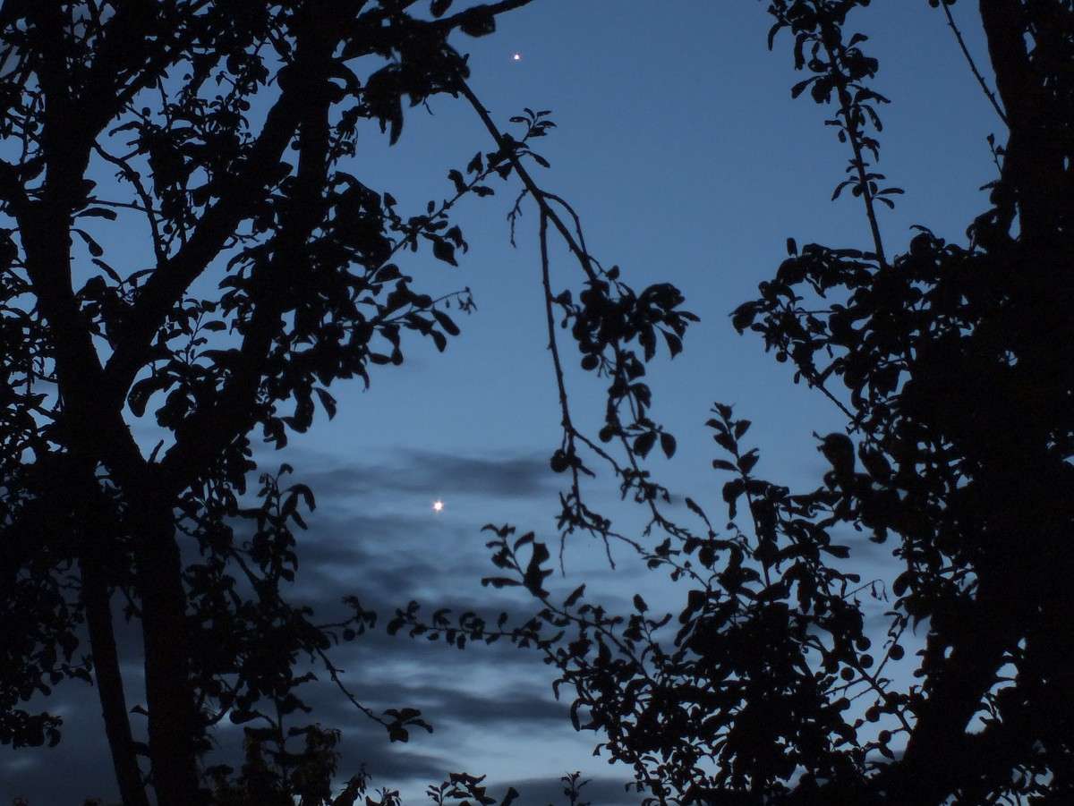 Depuis quelques jours, Jupiter (en haut) et Vénus sont de retour dans le ciel avant le lever du soleil. Le 15 juillet prochain, le fin croissant de Lune viendra les rejoindre. © Jean-Baptiste Feldmann