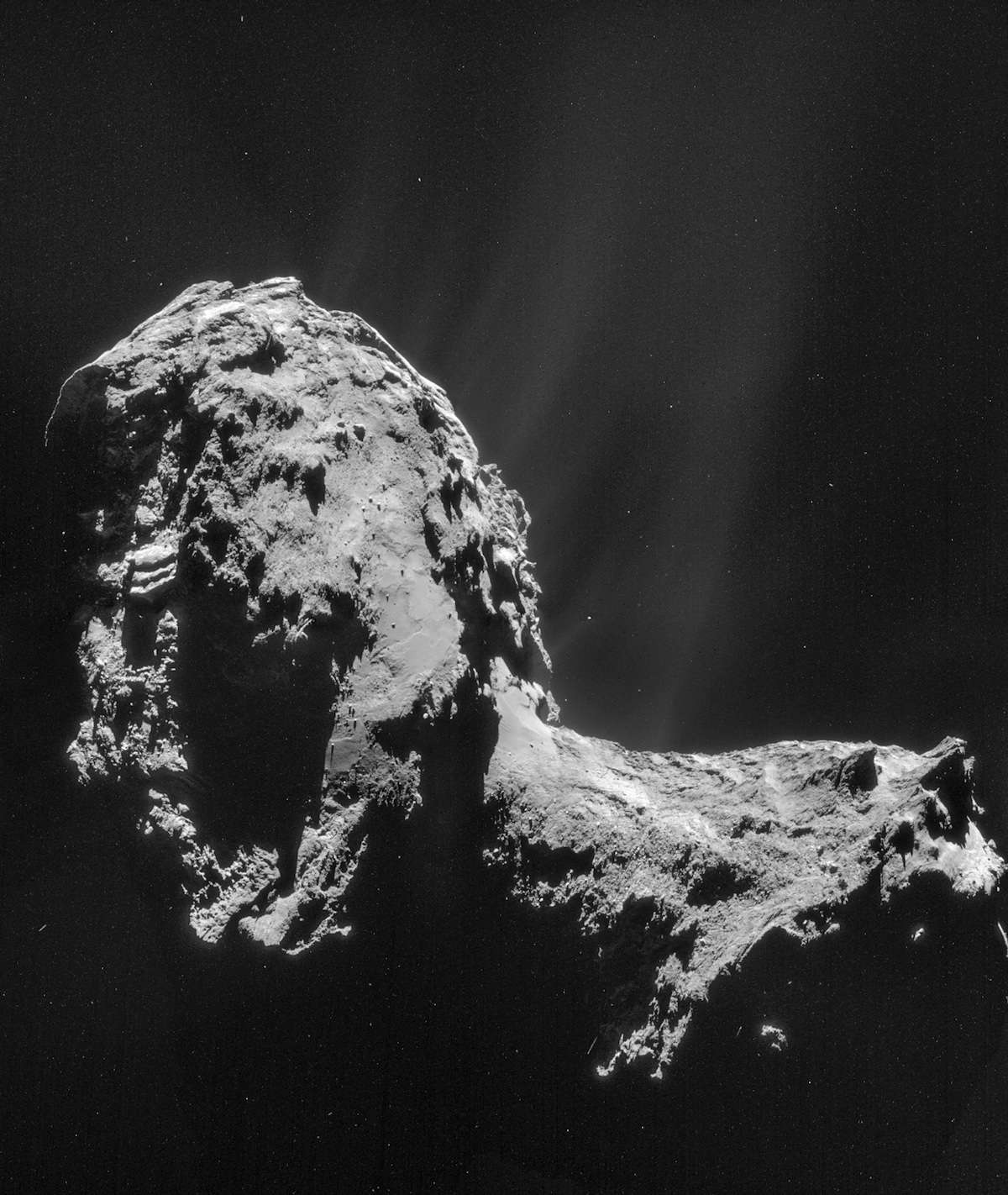 Le buzz du mois : l'eau de la comète de Rosetta n'est pas celle de la Terre. Mosaïque de 4 images du noyau de 67P/Churyumov-Gerasimenko — surnommée Tchouri — prises par la caméra de navigation (Navcam) de Rosetta, le 20 novembre 2014. On distingue les jets de gaz et de poussières qui sont à l’origine de son atmosphère, la coma. Les mesures de spectrométrie de masse effectuées par l’instrument Rosina suggèrent que l’eau qui y abonde n’est pas la même que celle de nos océans. © Esa, Rosetta, Navcam, CC BY-SA IGO 3.0