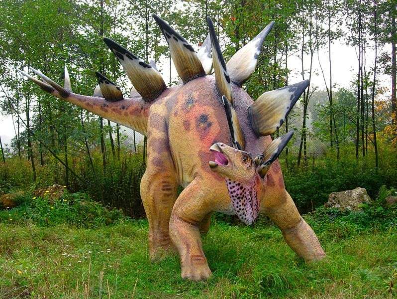 Le Stegosaurus fut découvert durant la seconde moitié du XIXe siècle, ce qui en fait un des premiers dinosaures découverts. Cette ancienneté lui confère une certaine célébrité. © Jakub Halun, wikipédia, cc by sa 2.5