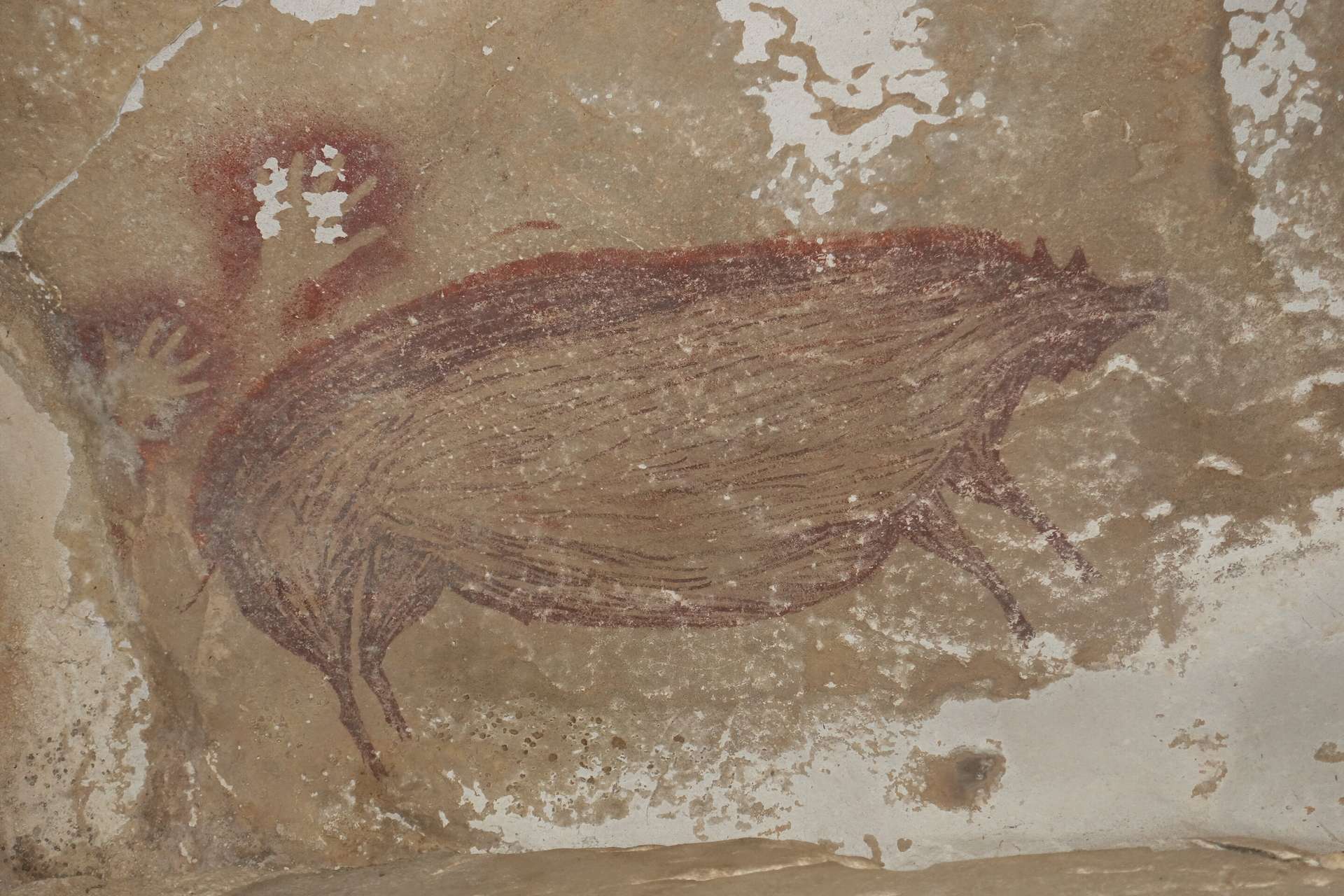 Lukisan gua tertua di dunia berusia setidaknya 45.500 tahun!