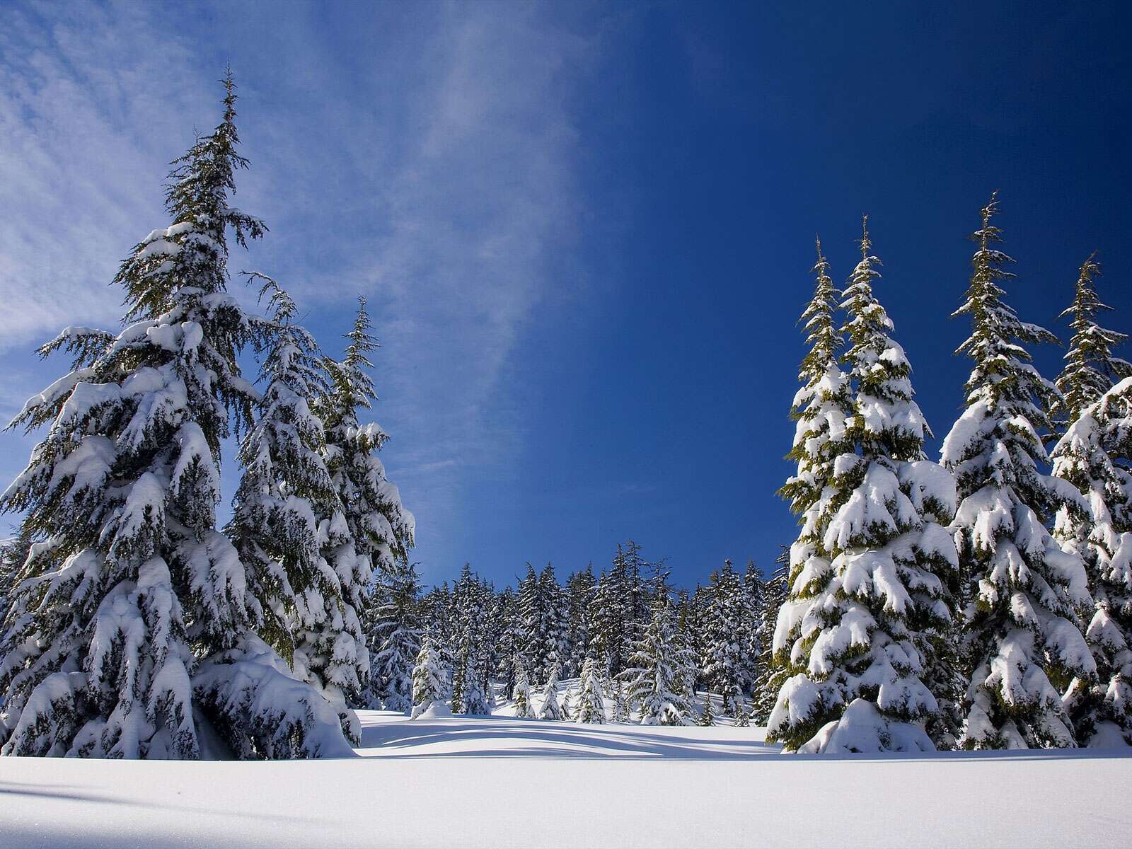 Sitemapcdatahttpsshopinf Inetcomfond Ecran Paysage Hivernal
