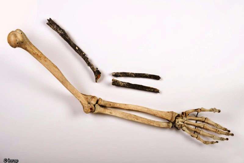 Les trois os longs du bras gauche d’un pré-Néandertalien (humérus, cubitus et radius) retrouvés sur le site de Tourville-la-Rivière (Seine-Maritime) en 2010, comparés à un bras moderne. © Denis Gliksman, Inrap
