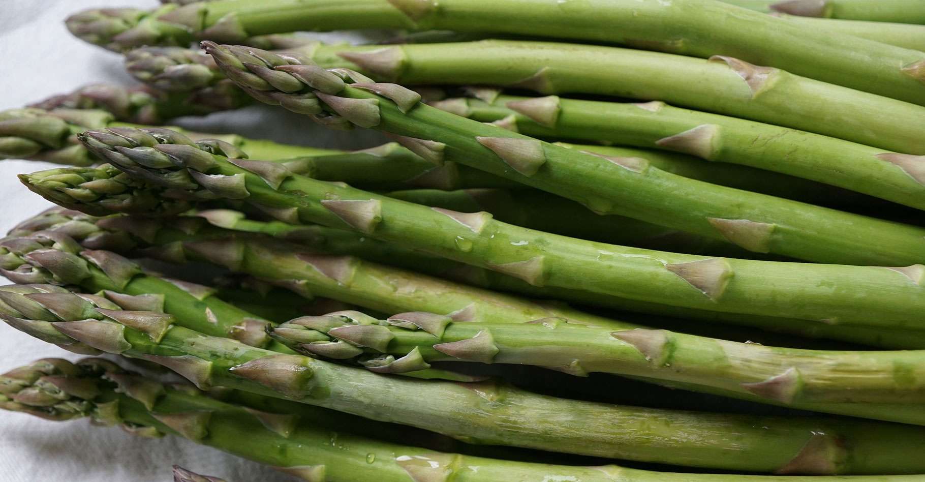 Сельдерей спаржа. Зеленый стебель. Asparagus. Спаржа сельдерей что у них есть.