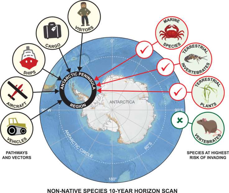 Verra-t-on bientôt des moules en Antarctique ?