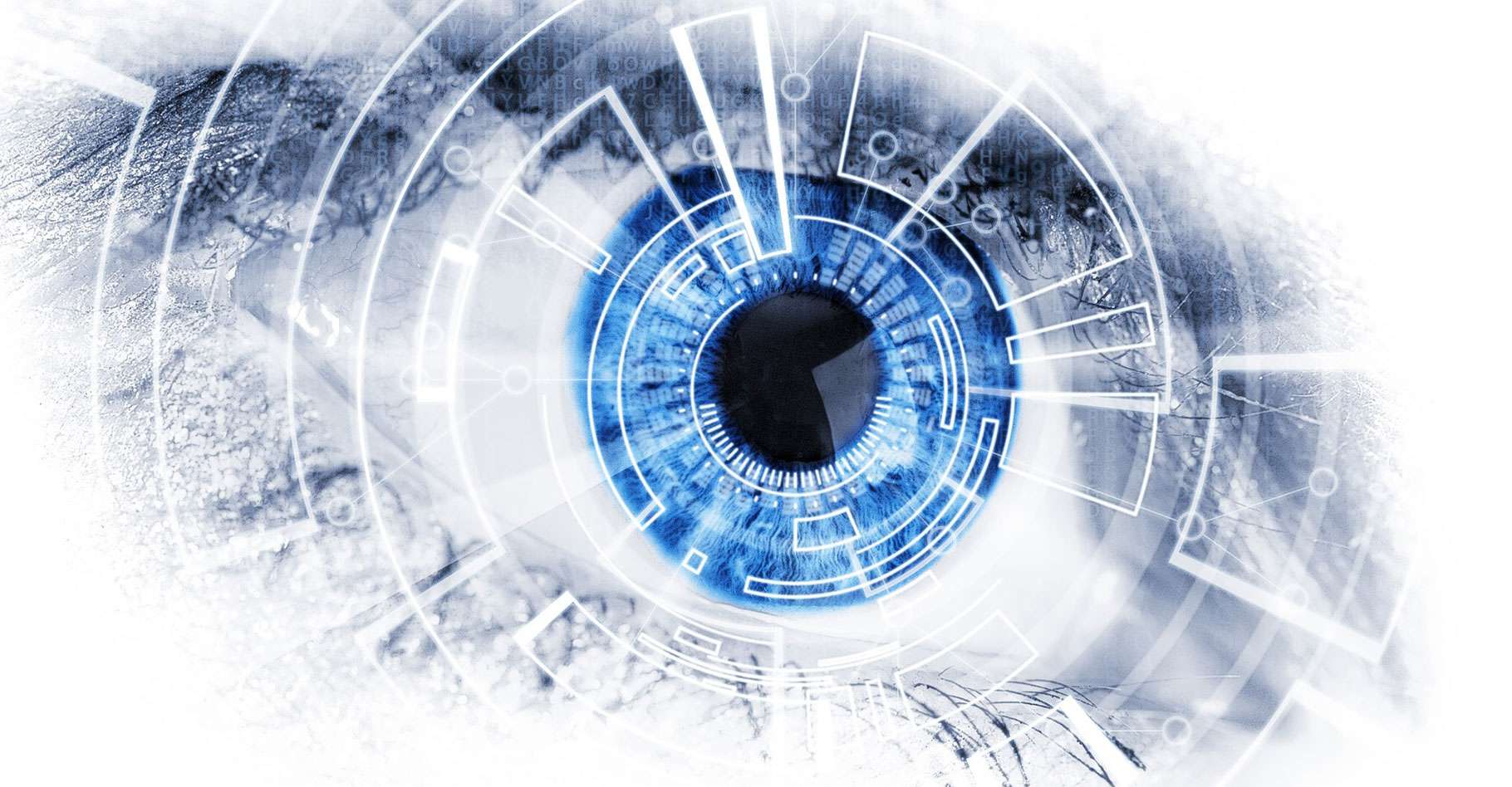 Structure de la rétine cônes, et perception visuelle Dossier